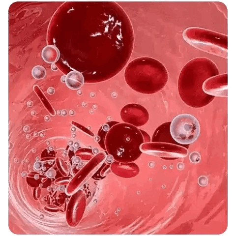 [12 in 1]Smart Glucometer --- (Blood Sugar + Blood Lipids + Blood Pressure + Uric Acid + Heart Rate + Blood Oxygen + Body Temperature + Liver Function + Kidney Function + Prostate Examination + Cancer Detection + Laser Treatment)